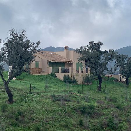 Alojamiento Rural En Aracena. Finca El Rehilete Exterior photo